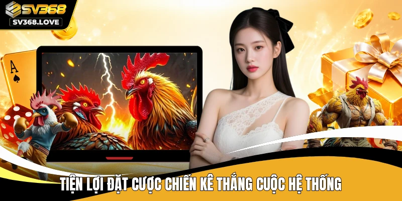 Tiện lợi đặt cược chiến kê thắng cuộc hệ thống